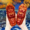 Red Slipper Lobster