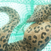 Tiger Eel